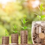 Crescita finanziaria con monete e piante, simbolo di investimento e sviluppo economico legale