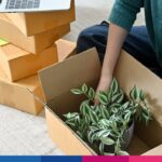 Come funziona lo scontrino elettronico per gli ambulanti