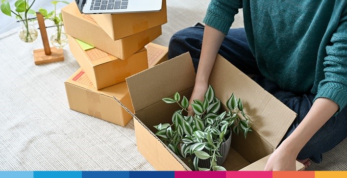 come-vendere-piante-online